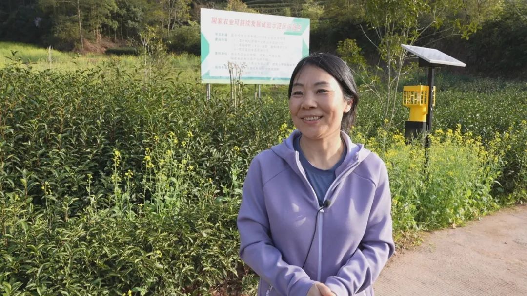 圖片關鍵詞 圖片關鍵詞